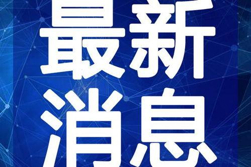 菏泽酒店爆料视频最新版,揭秘惊人内幕，真相令人震惊！